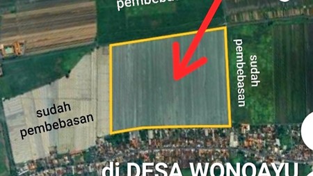 MURAH Dijual 3 Bidang Tanah Desa Wonoayu Sidoarjo Jawa Timur - Jalan Aspal Antar Desa - 100 Meter Dari Jalan Raya Propinsi Sidoarjo - Krian - Plot Kuning Pemukiman