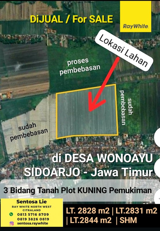 MURAH Dijual 3 Bidang Tanah Desa Wonoayu Sidoarjo Jawa Timur - Jalan Aspal Antar Desa - 100 Meter Dari Jalan Raya Propinsi Sidoarjo - Krian - Plot Kuning Pemukiman
