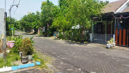 Dijual Rumah Siap Huni, Asri & Luas Di Candi Sidoarjo