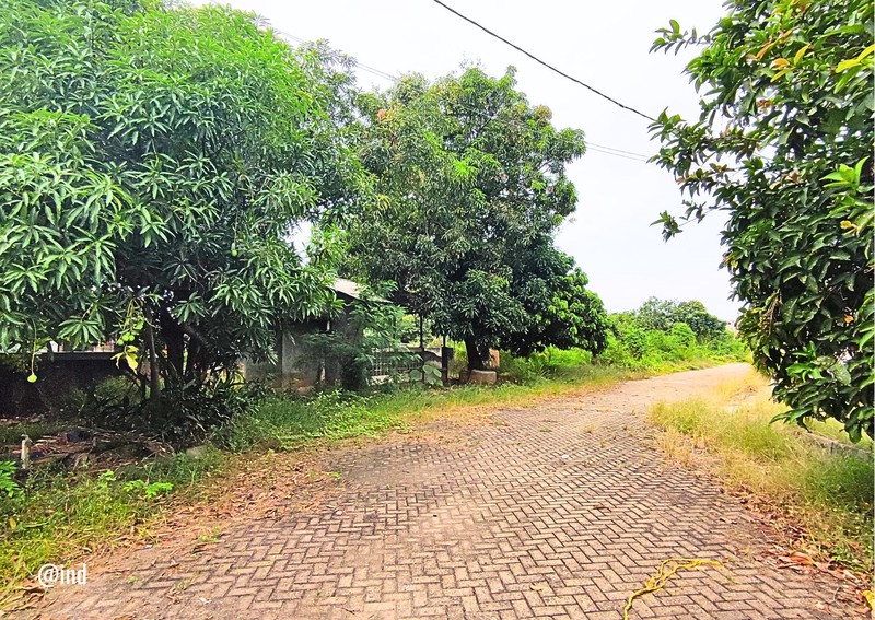 Tanah Sukaraya Karangbahagia Cikarang Utara - Harga Terjangkau, Lokasi Berkembang