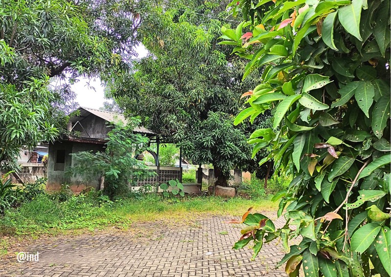 Tanah Sukaraya Karangbahagia Cikarang Utara - Harga Terjangkau, Lokasi Berkembang