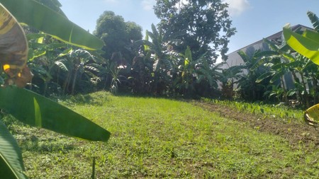 Tanah 1405 Meter Persegi Lokasi Dekat UKRIM , Purwomartani, Kalasan, Sleman