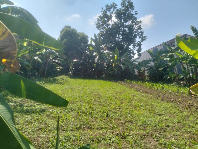 Tanah 1405 Meter Persegi Lokasi Dekat UKRIM , Purwomartani, Kalasan, Sleman