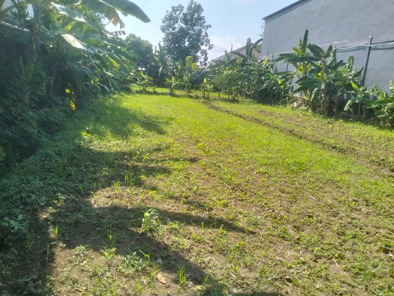 Tanah 1405 Meter Persegi Lokasi Dekat UKRIM , Purwomartani, Kalasan, Sleman
