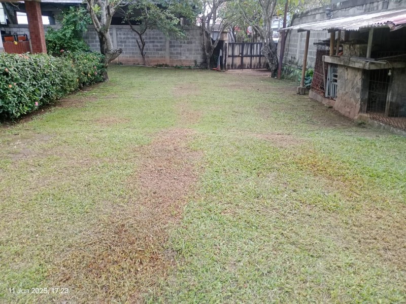Rumah Luas KT 5+3 KM 6 ada Pool, Luas Tanah 1340 m2 Luas Bangunan 450 m2 di Serpong Utara