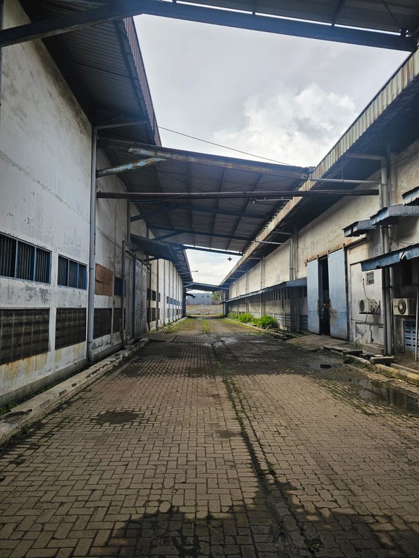 Di Sewa GUDANG TAMBAK SAWAH SIDOARJO