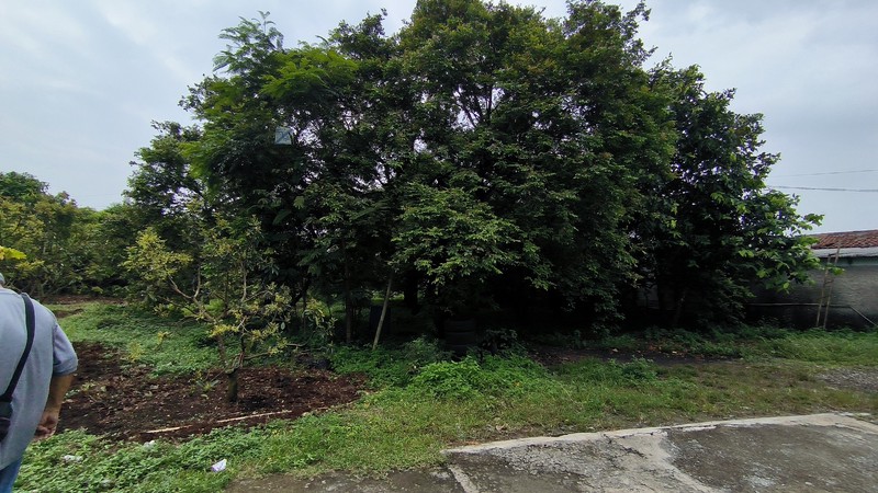 Tanah padat cocok untuk perumahan