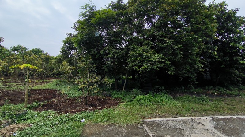 Tanah padat cocok untuk perumahan