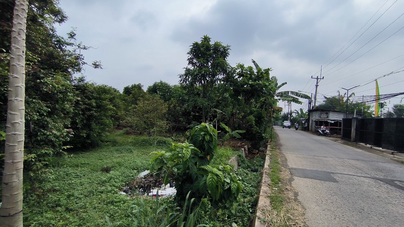 Tanah padat cocok untuk perumahan