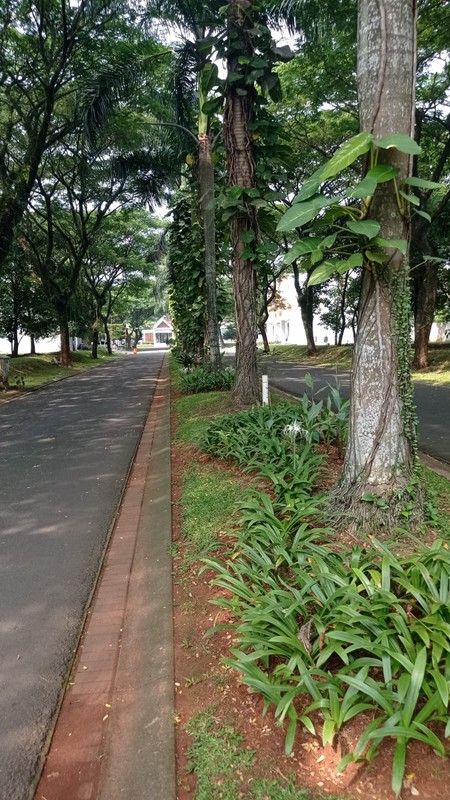 Kavling Badan Boulevard Siap Bangun di Serpong Lagoon Dekat Sekolah