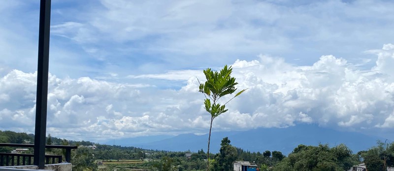 Dijual Cepat! Tanah View Gunung Salak - Pangrango  di Cisarua Puncak 