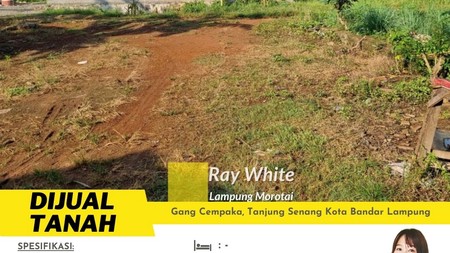 rumah murah tanjung senang