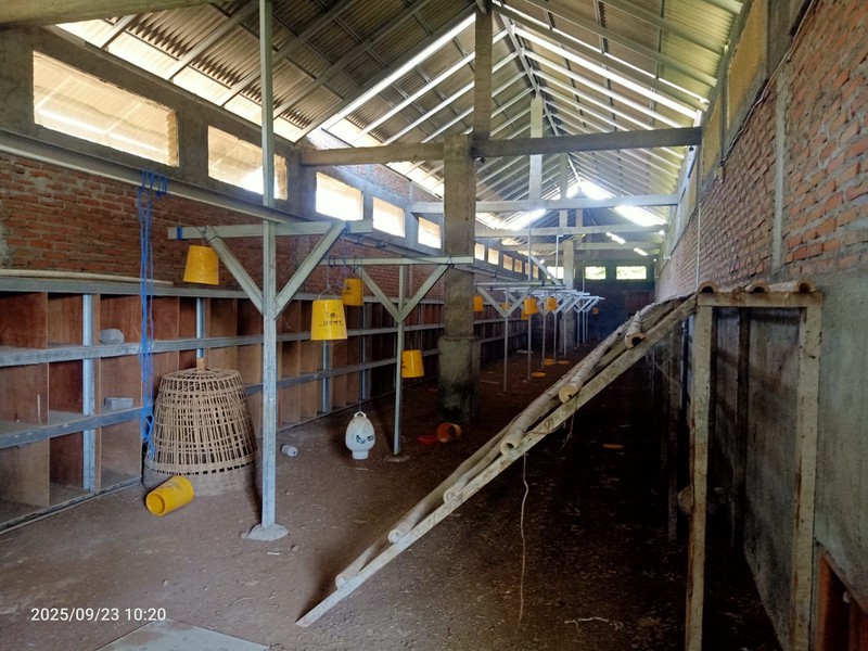 Rumah Furnis Dengan Ruang Usaha Lokasi Purwomartani, Kalasan, Sleman