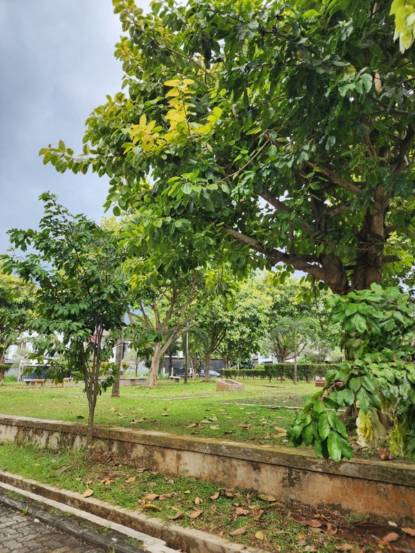 DIJUAL Tanah peruntukan Rumah di dalam komplek di Jombang, Ciputat, Tangerang Selatan