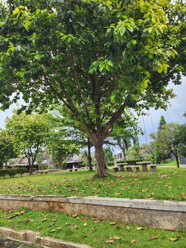 DIJUAL Tanah peruntukan Rumah di dalam komplek di Jombang, Ciputat, Tangerang Selatan