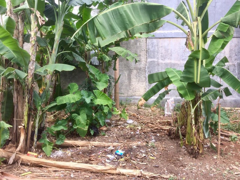 Dijual Lahan di Sawangan