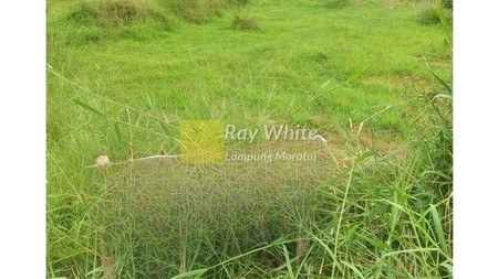 Dijual Tanah Perumahaan