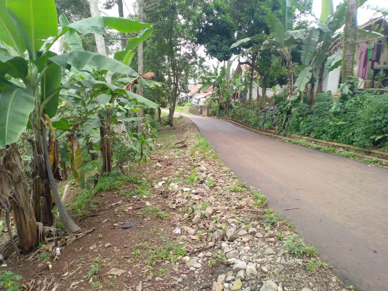 Investasi Lahan Pertanian dan Perkebunan Bandung Barat