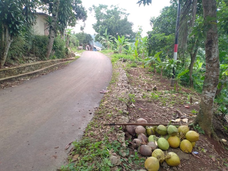 Investasi Lahan Pertanian dan Perkebunan Bandung Barat