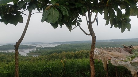 Investasi Lahan Pertanian dan Perkebunan Bandung Barat