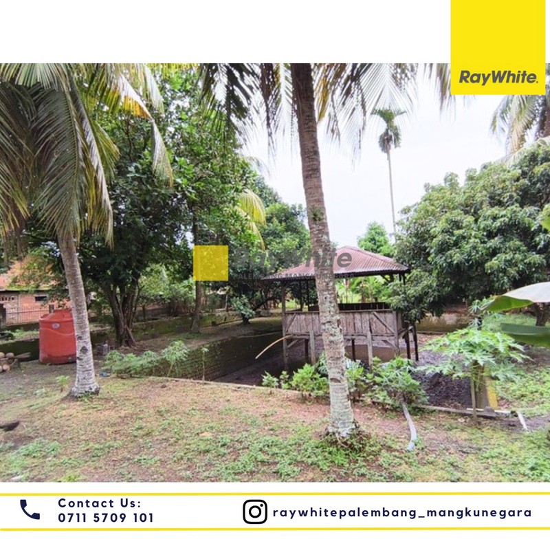 DIJUAL CEPAT TANAH PINGGI JALAN LOKASI STRATEGIS