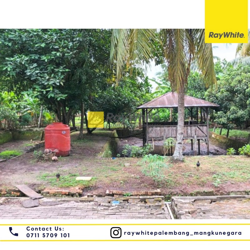 DIJUAL CEPAT TANAH PINGGI JALAN LOKASI STRATEGIS