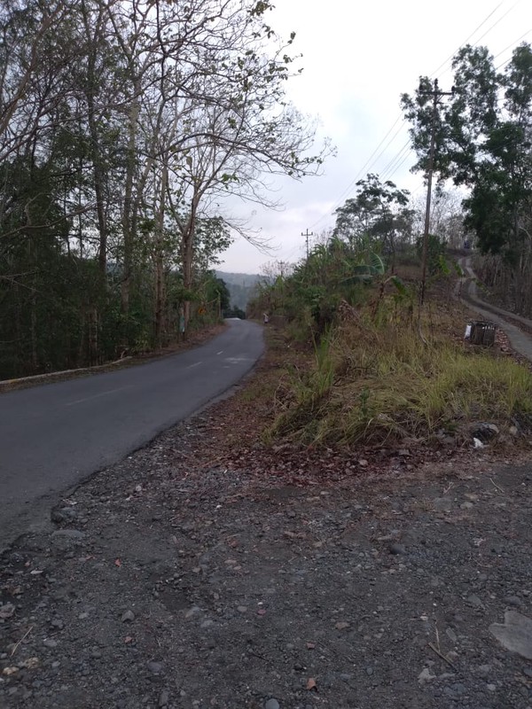 Tanah Luas 4780 Meter Persegi Lokasi Dekat Pasar Sribit Kulon Progo 