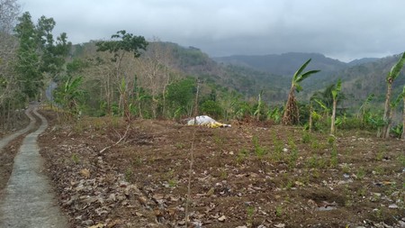 Tanah Luas 4780 Meter Persegi Lokasi Dekat Pasar Sribit Kulon Progo 