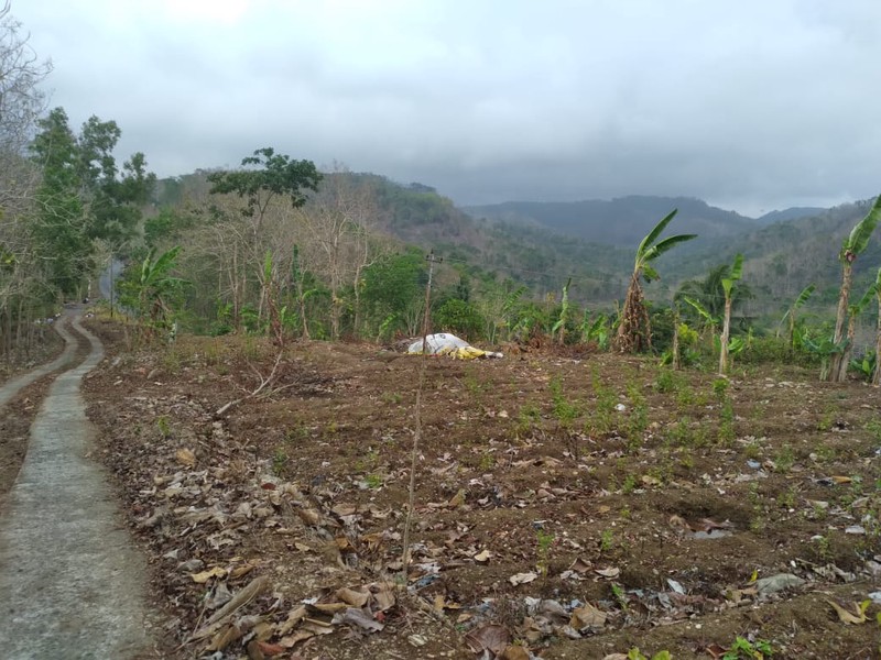 Tanah Luas 4780 Meter Persegi Lokasi Dekat Pasar Sribit Kulon Progo 