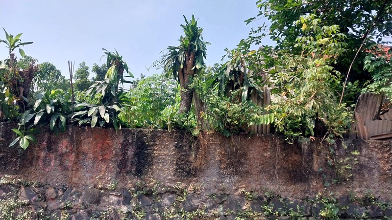 Dijual Tanah di Pinggir Jalan Rayadi Cipayung, Jakarta Timur