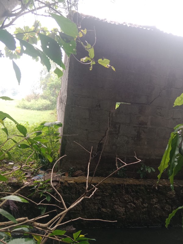 Tanah Luas 1690 Meter Persegi Lokasi Strategis di Daerah Balecatur Gamping Sleman 