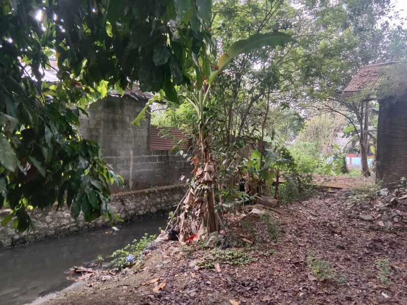 Tanah Luas 1690 Meter Persegi Lokasi Strategis di Daerah Balecatur Gamping Sleman 