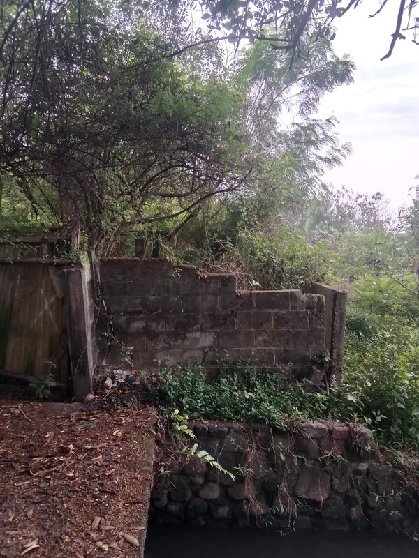 Tanah Luas 1690 Meter Persegi Lokasi Strategis di Daerah Balecatur Gamping Sleman 