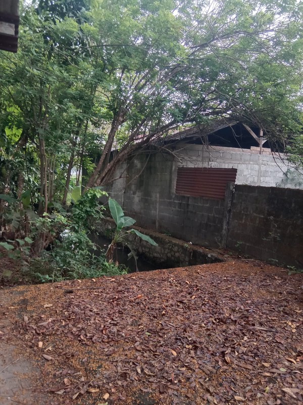 Tanah Luas 1690 Meter Persegi Lokasi Strategis di Daerah Balecatur Gamping Sleman 