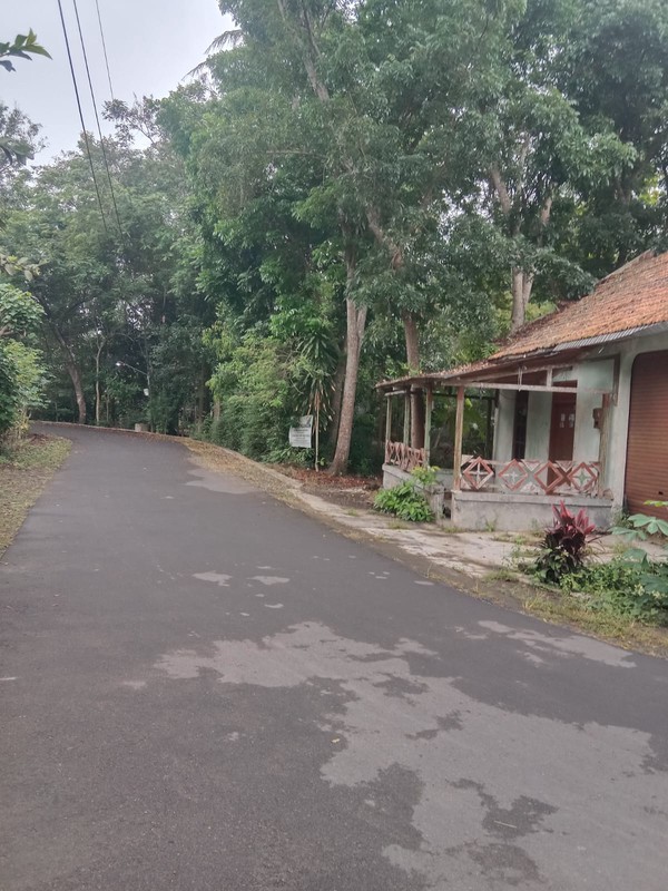 Tanah Luas 1690 Meter Persegi Lokasi Strategis di Daerah Balecatur Gamping Sleman 