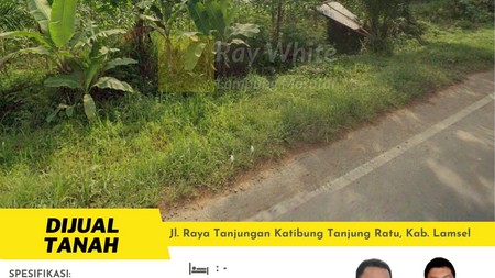 tanah murah tanjungan katibung lampung selatan