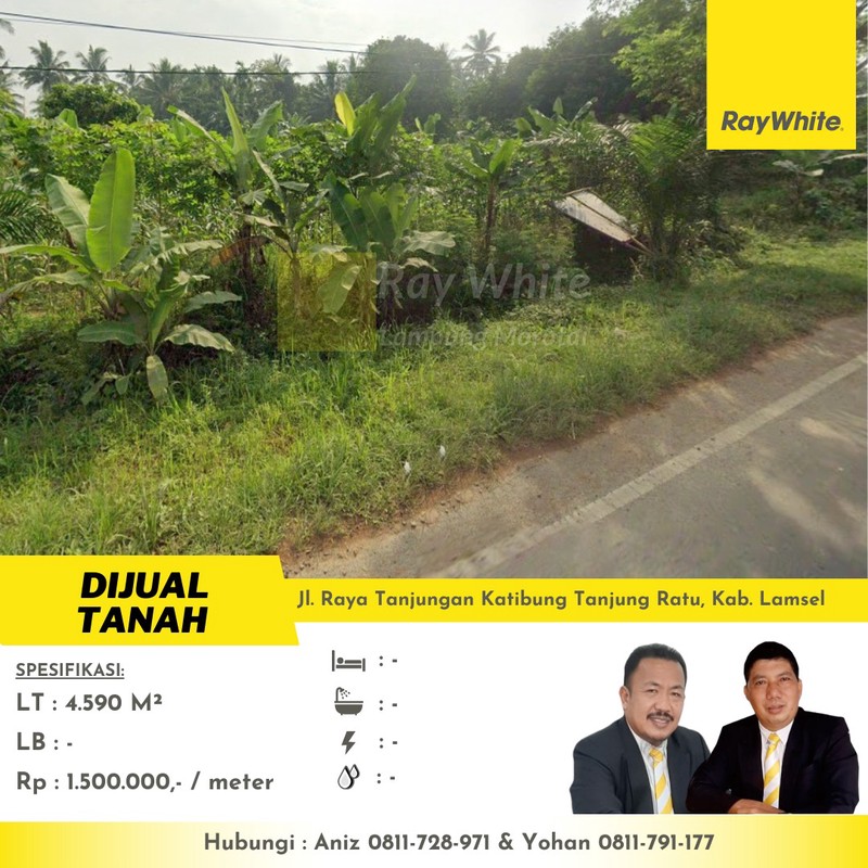 tanah murah tanjungan katibung lampung selatan