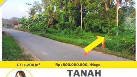 tanah murah natar