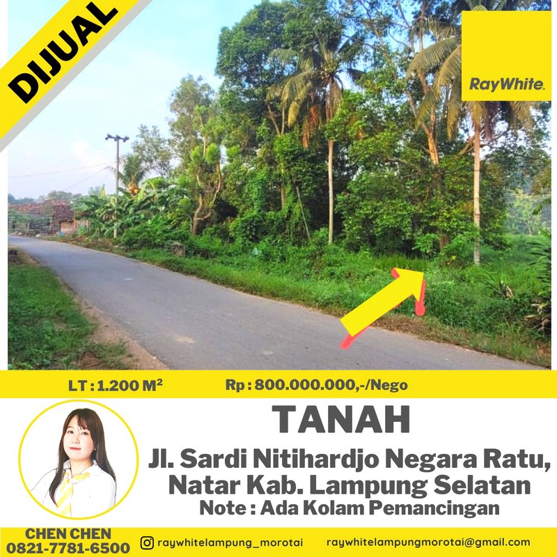 tanah murah natar