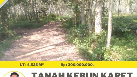 tanah murah tanjung bintang