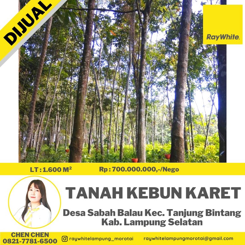 tanah murah tanjung bintang