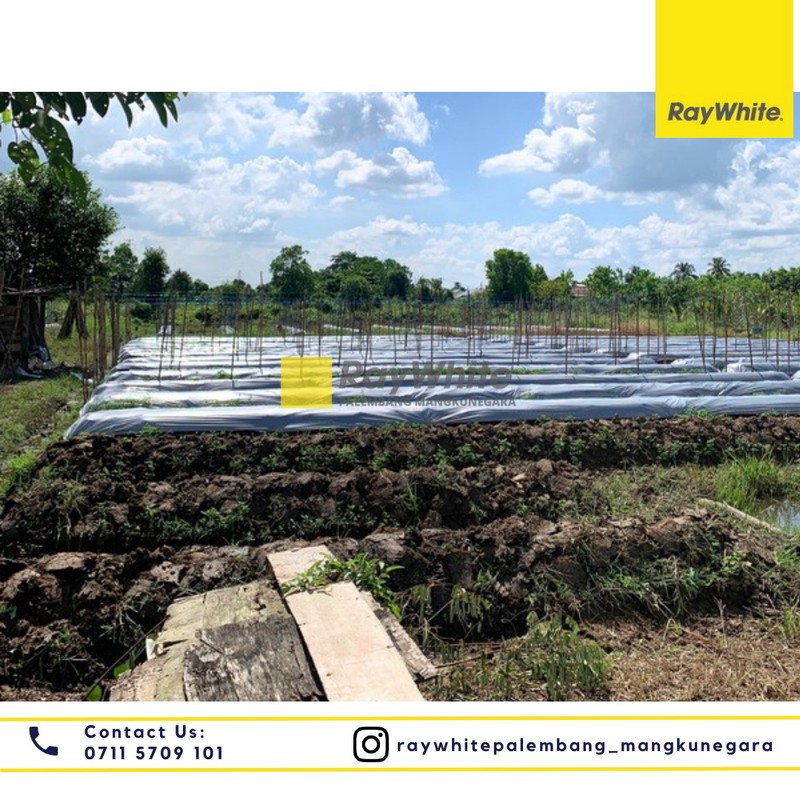 TANAH JUAL MURAH PALEMBANG 