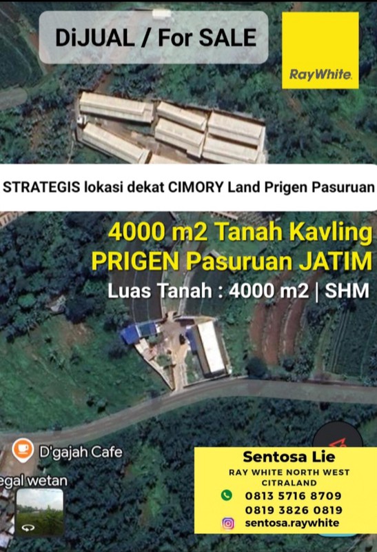 MURAH Dijual 4000 m2 Tanah Kavling Sumberejo - Lumbangrejo - Prigen Pandaan Jawa Timur Dekat Cimory Dairyland Prigen Tretes - Cocok Buat Segala Usaha Peternakan Ayam, Perkebunan Greenhouse , Cafe, Res