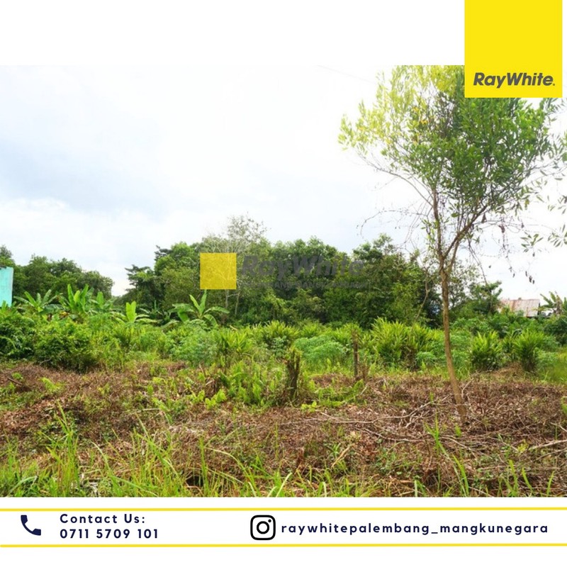Dijual Tanah di Jl. Taqwa Mata Merah Kel. Sei Selincah Kec. Kalidoni, Kota Palembang
