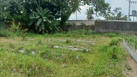 Tanah 2335 Meter Persegi Di Jalan Palagan Cocok Untuk Mini Cluster