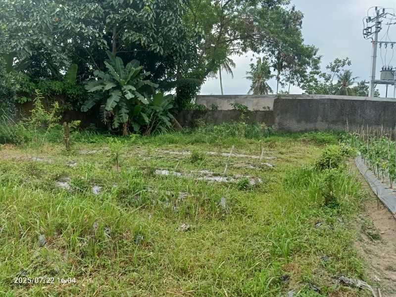Tanah 2335 Meter Persegi Di Jalan Palagan Cocok Untuk Mini Cluster