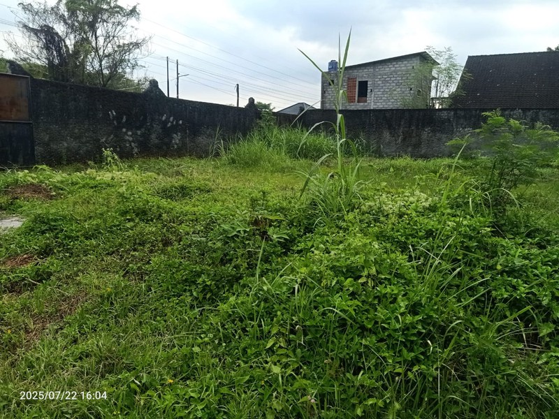 Tanah 2335 Meter Persegi Di Jalan Palagan Cocok Untuk Mini Cluster