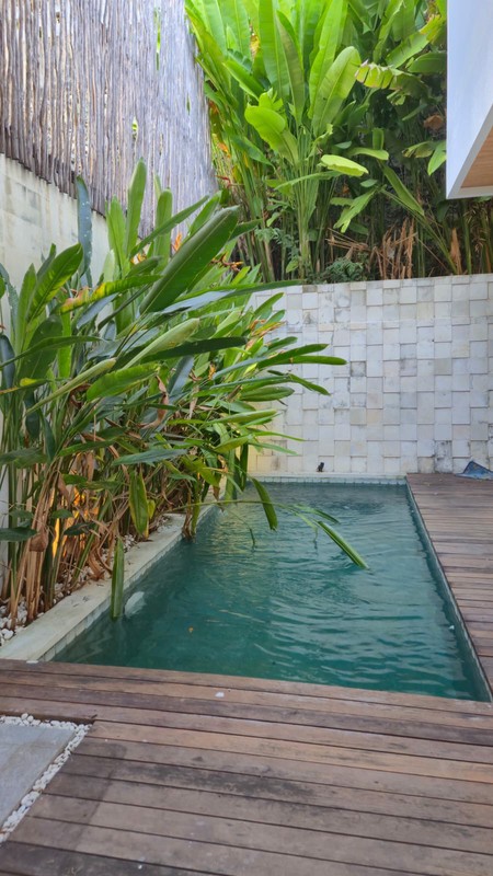 House For Sale Near Udayana University and Udayana Hospital, Jimbaran