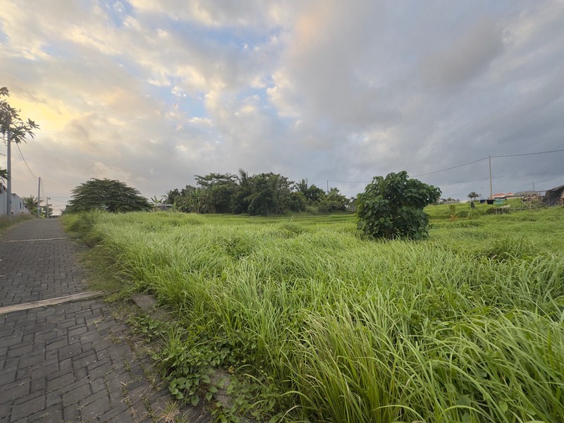 Prime Land For Sale in Nyanyi, Tabanan
