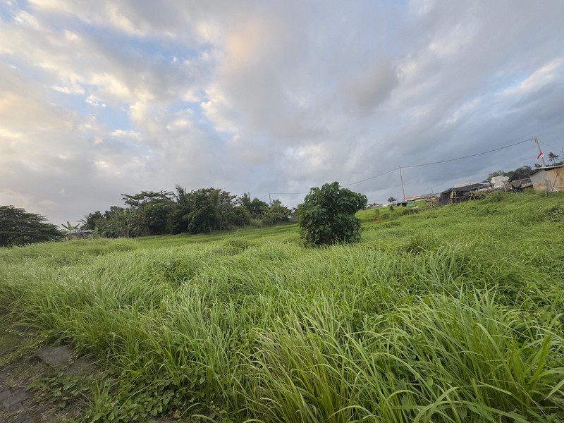 Prime Land For Sale in Nyanyi, Tabanan